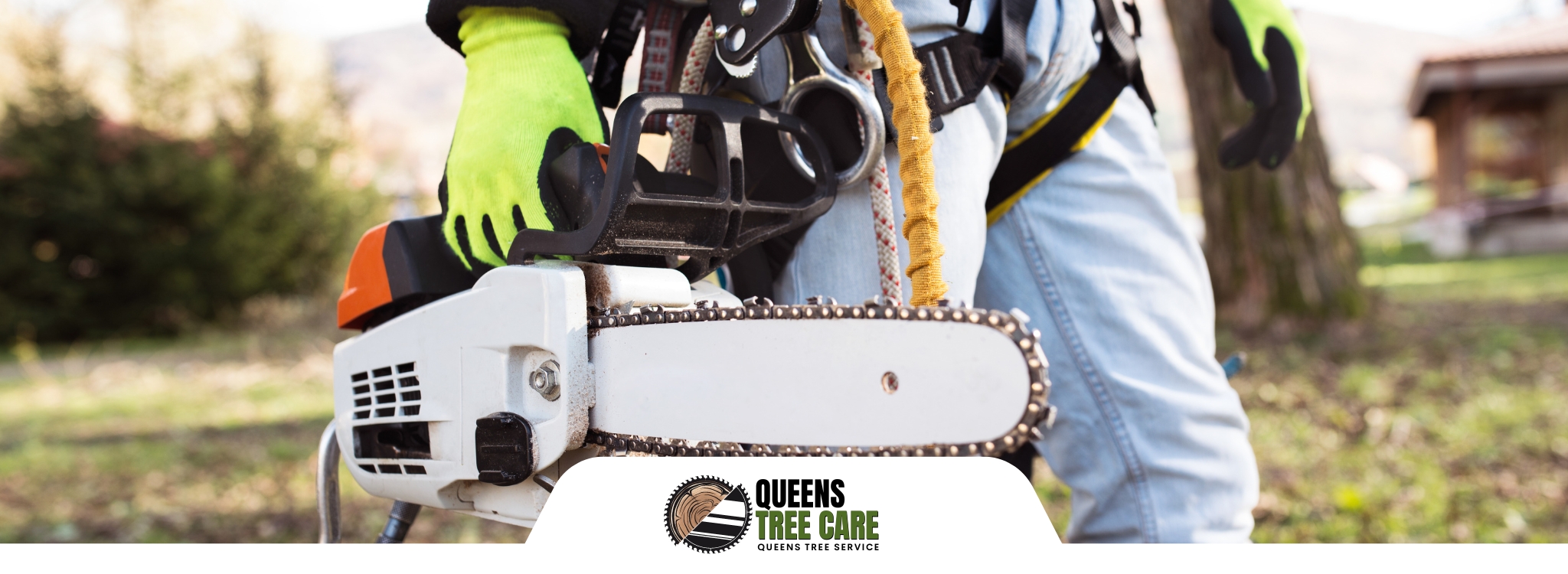 Queens-Tree-Care