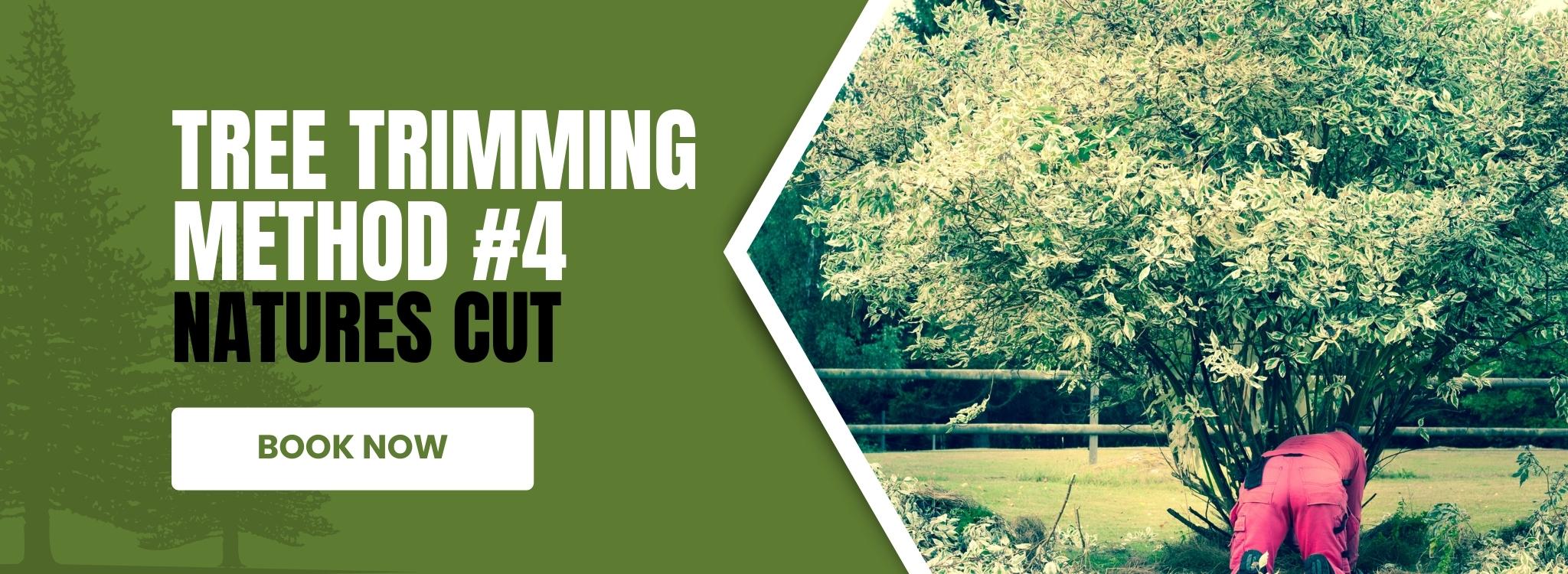 Tree-Trimming-Service