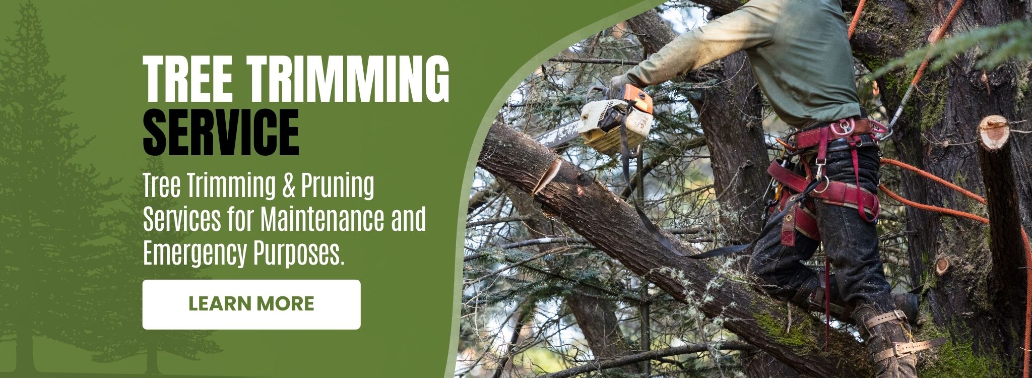 Tree-Trimming-Service