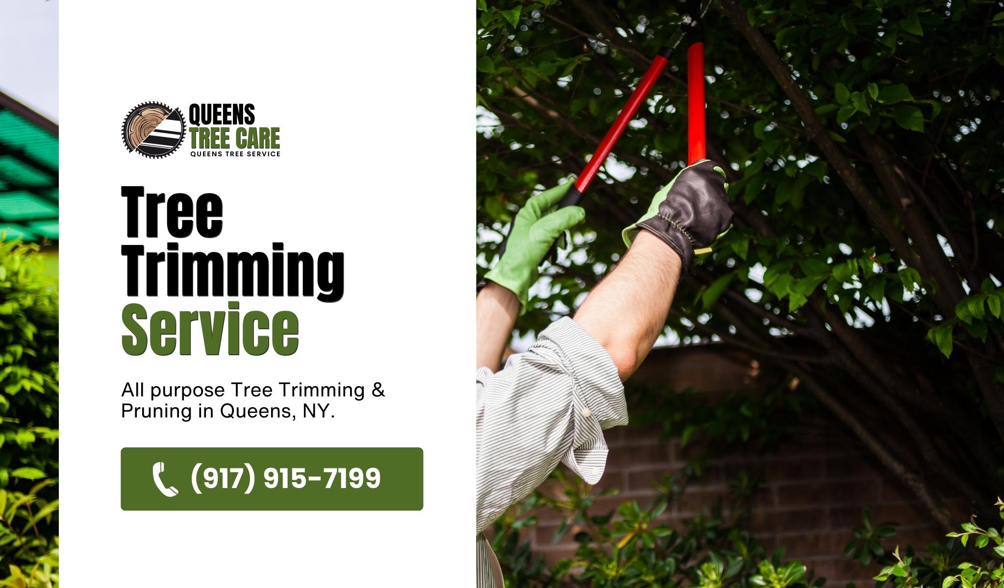 Tree-Trimming-Service