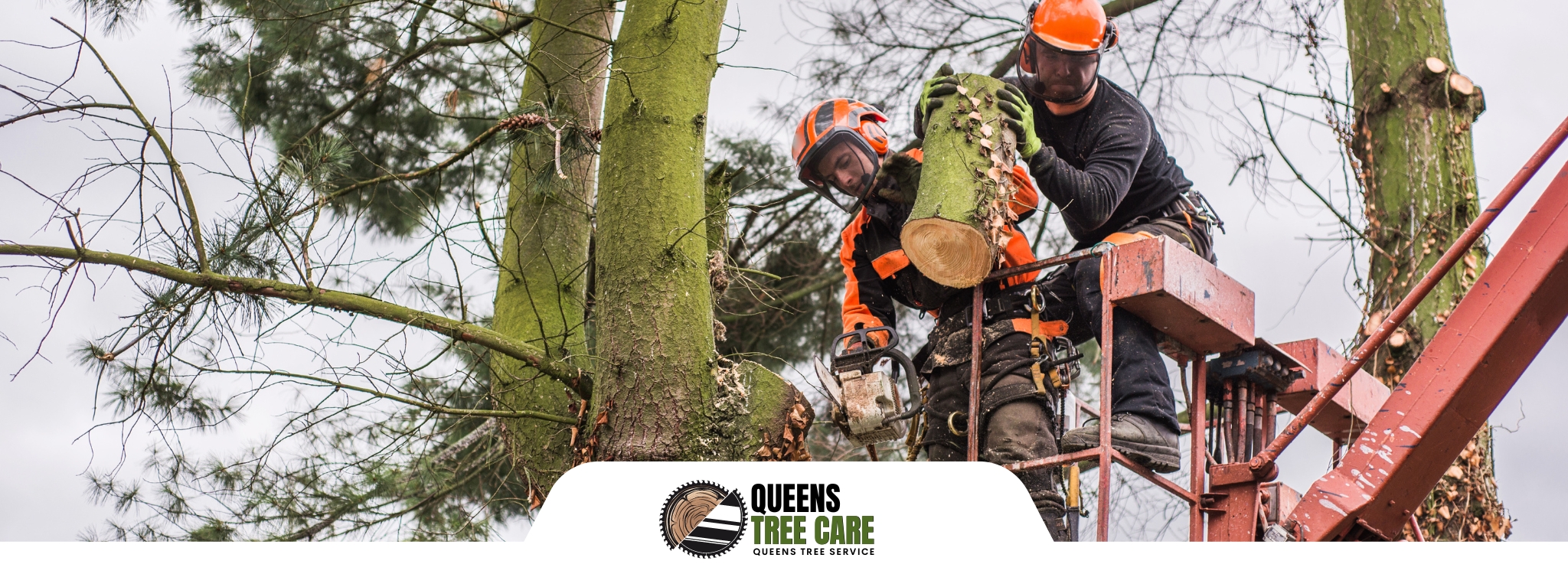 Queens-Tree-Care