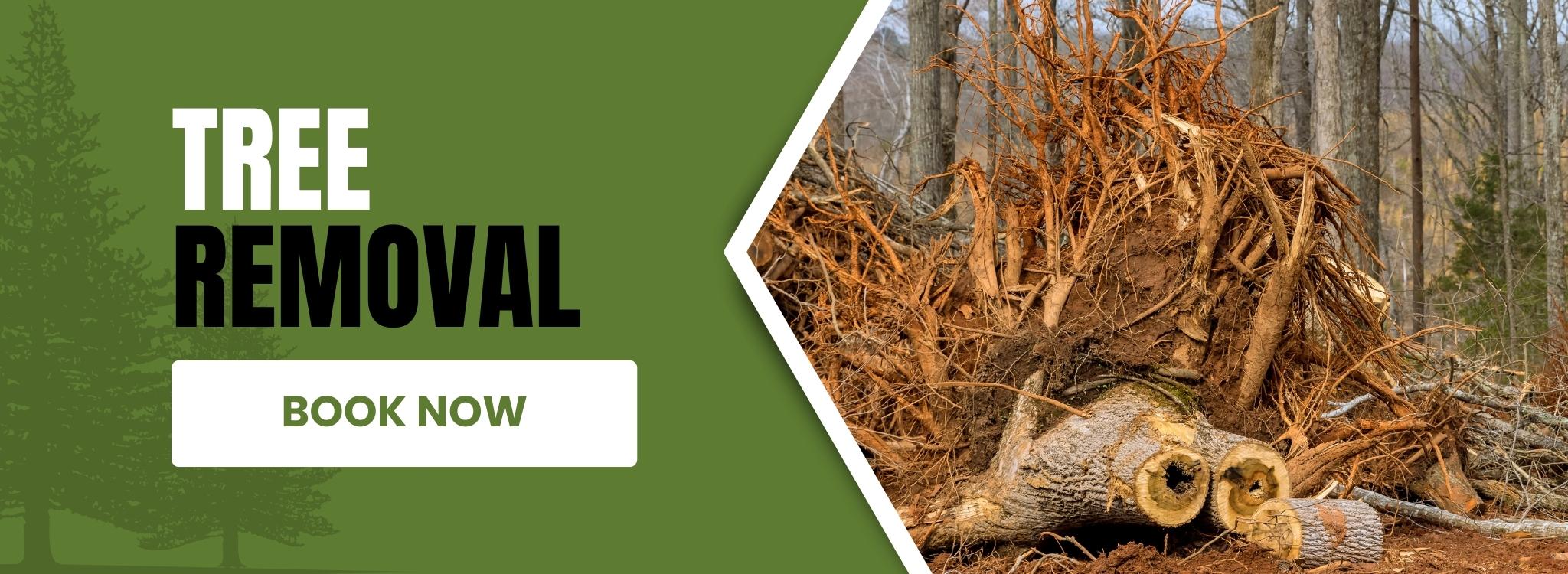 Tree-Removal