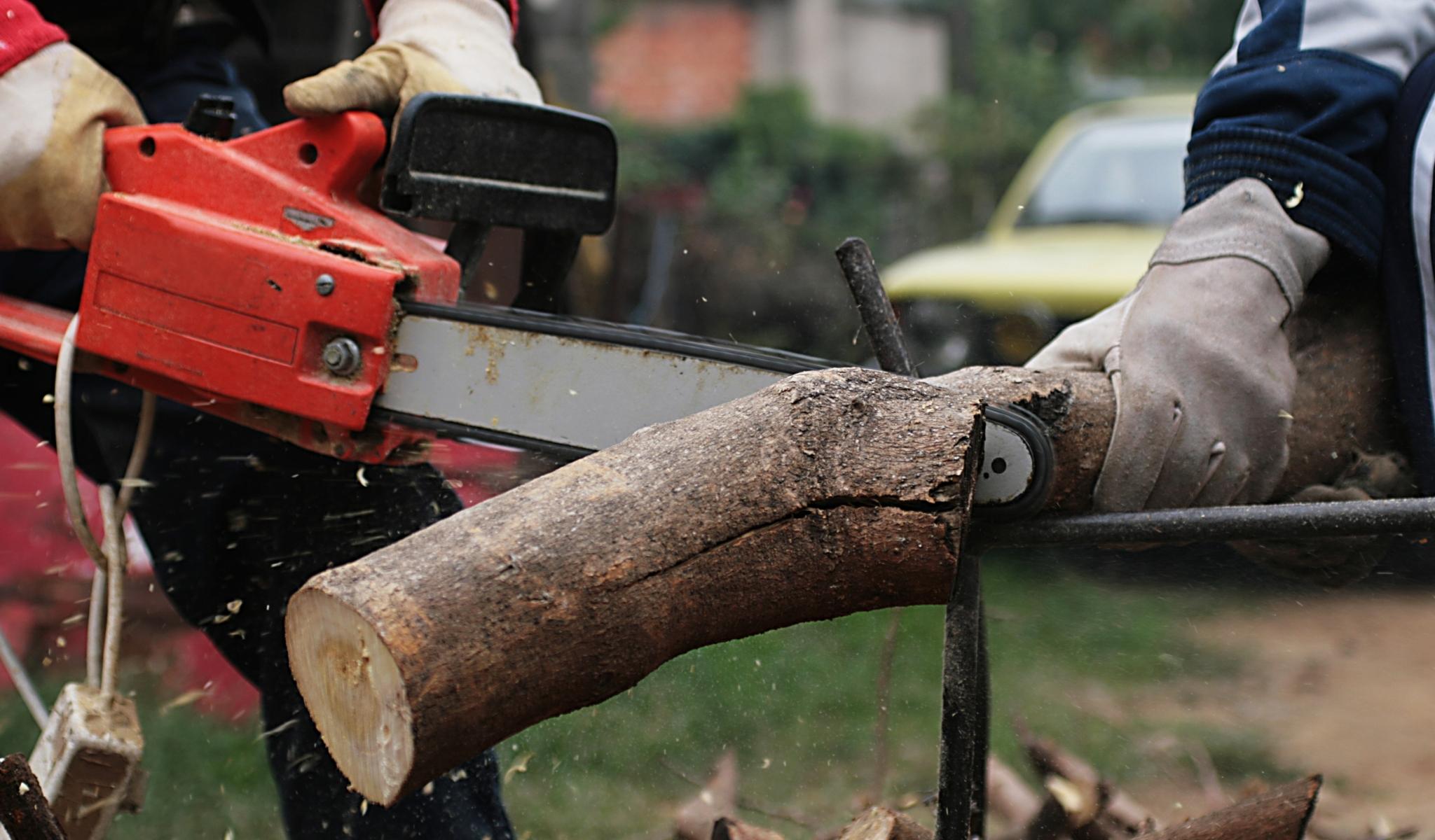 Tree-Removal