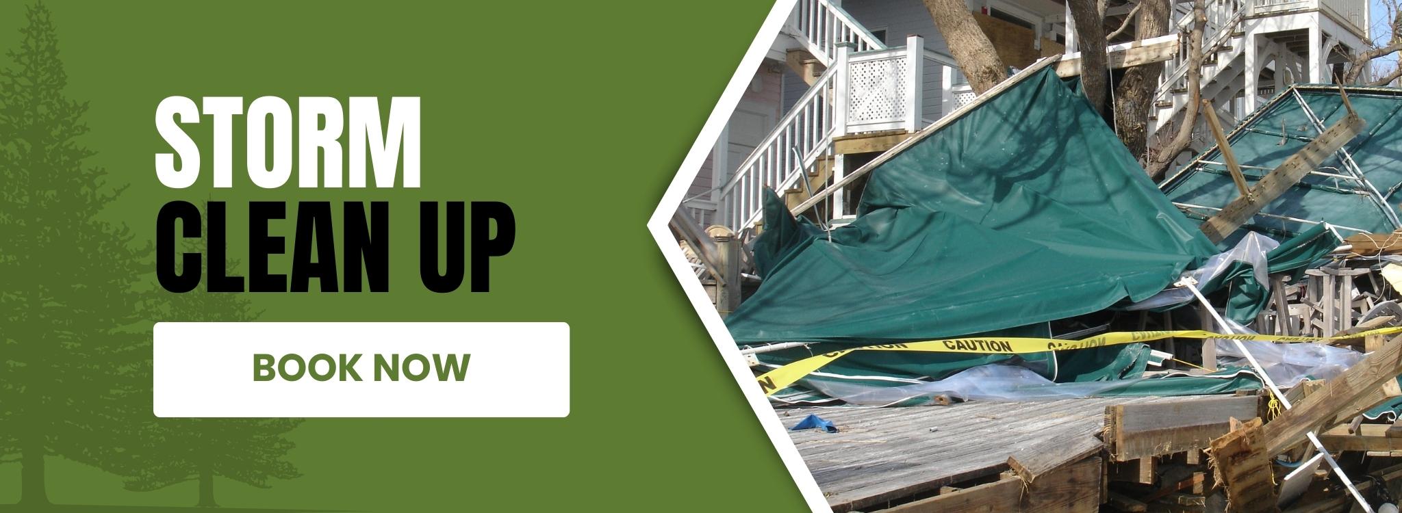 Storm-Clean-Up