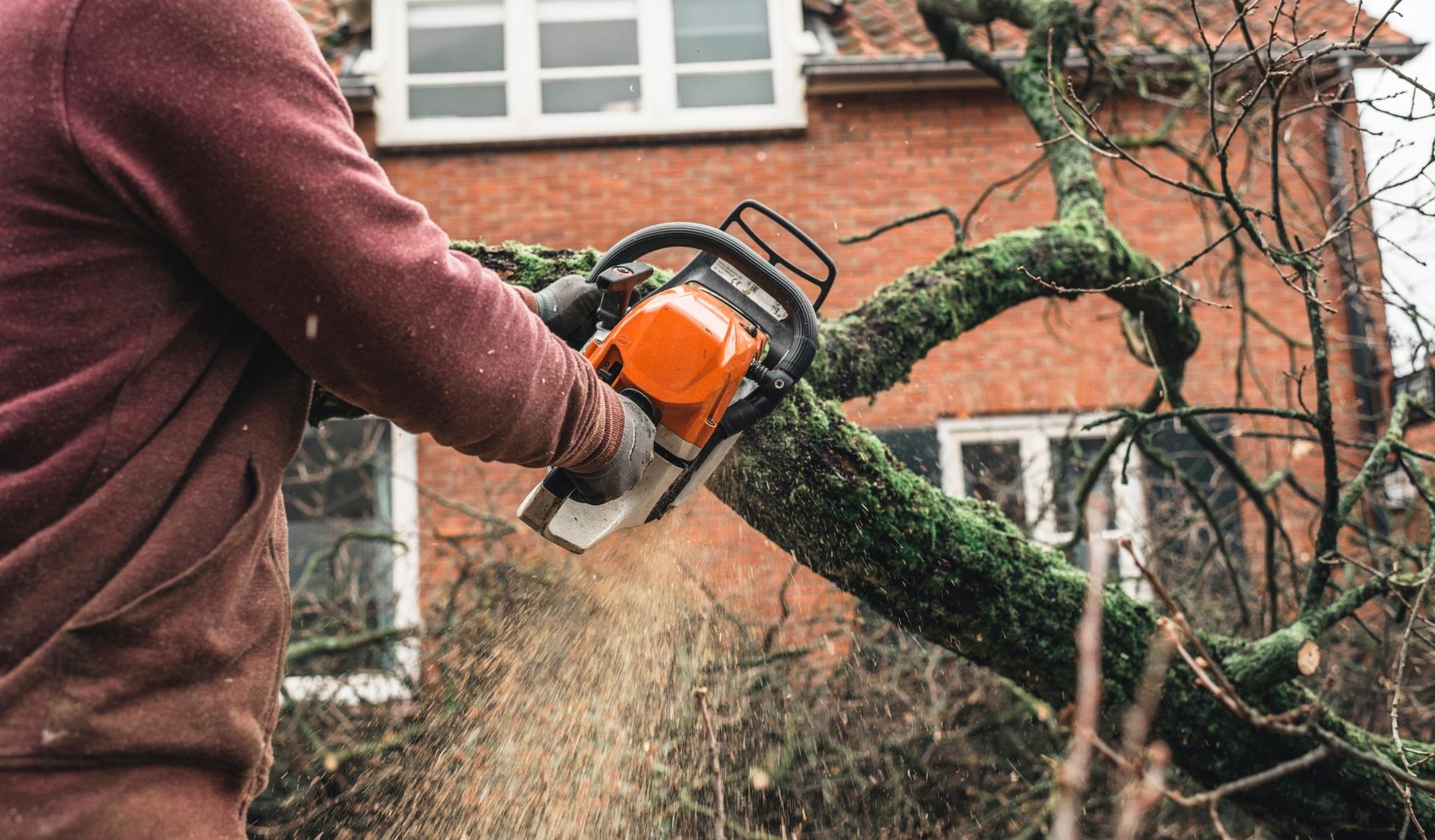 Tree-Removal