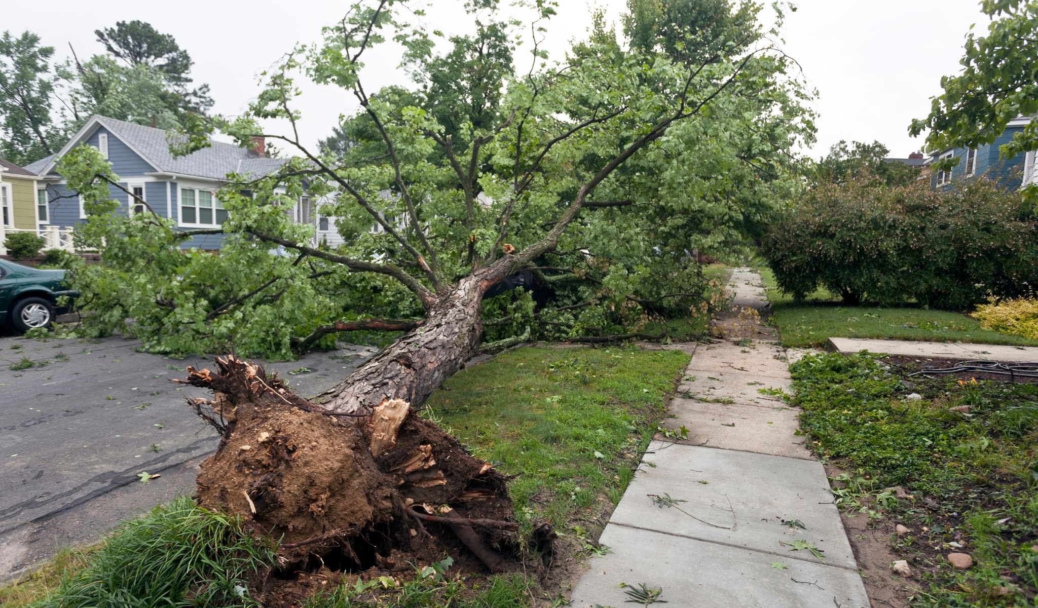 Storm-Damage