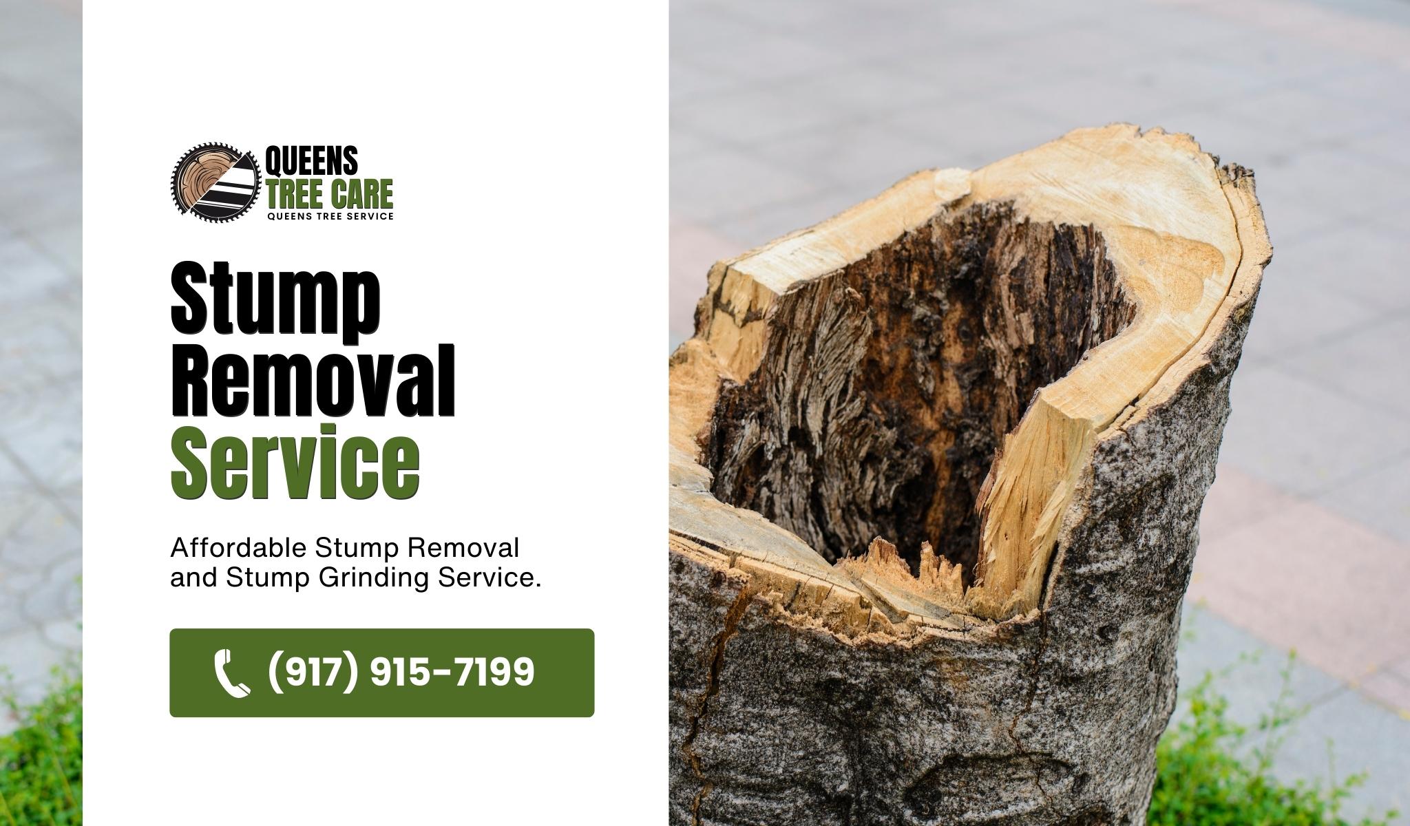 Stump-Removal-Service
